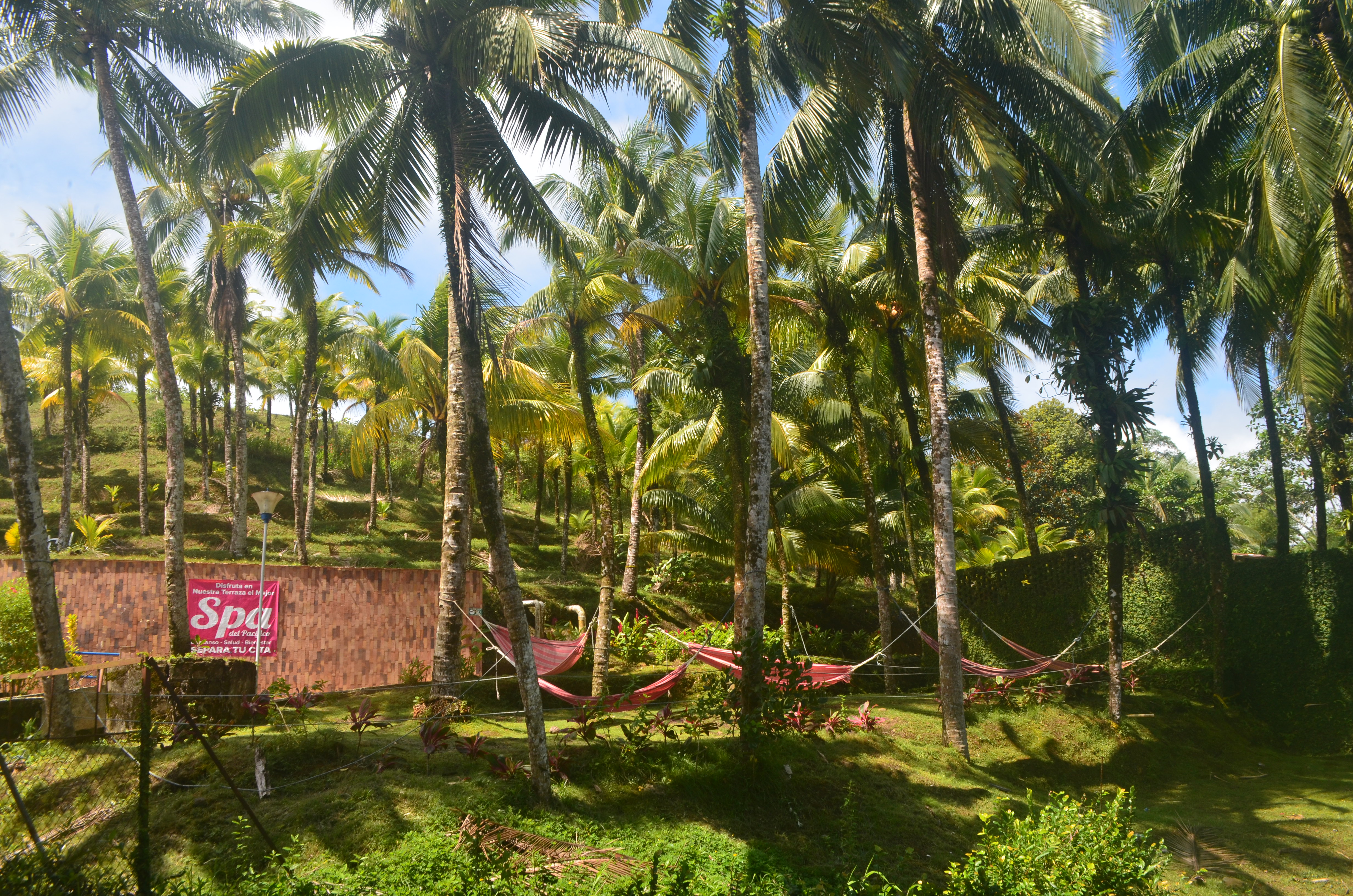 Zona de hamacas.