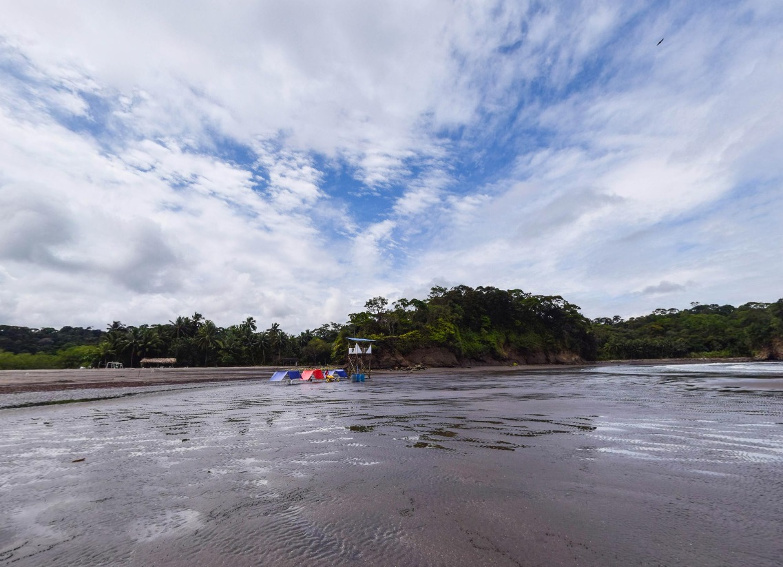 playa magüipi sola.
